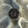 Michael Dawkins Starry Night 925 Sterling Silver Black Druzy Quartz Ring Size 9