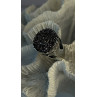 Michael Dawkins Starry Night 925 Sterling Silver Black Druzy Quartz Ring Size 9
