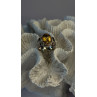 Vintage 925 Sterling Silver & 14K Yellow Gold Part Yellow Citrine Ring Size 6