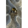 Vintage 925 Sterling Silver & 14K Yellow Gold Part Yellow Citrine Ring Size 6
