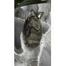 Vintage 925 Sterling Silver Pyritized Ammonite Pendant