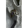Vintage Grapevine Leaf Design 925 Sterling Silver Amethyst Ring Size 8