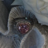 Romantic 925 Sterling Silver Pink Heart Topaz Ring Size 9