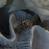 Vintage Princess Cut 925 Sterling Silver Diamonds Ring Size 7