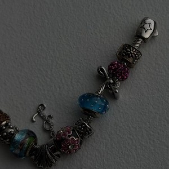 Donatella 925 Sterling Silver 19 Charms Bracelet