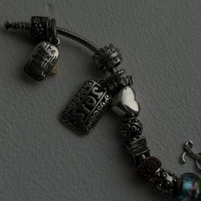 Donatella 925 Sterling Silver 19 Charms Bracelet
