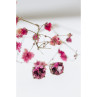 925 Sterling Silver Morganite Stud Earrings