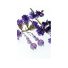 925 Sterling Silver Amethyst Earrings