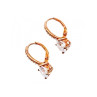 925 Sterling Silver Gold Plated CZ Earrings