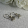 925 Sterling Silver Blue Topaz & Beryl Earrings Length0.80 Inch