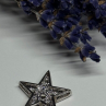 925 Sterling Silver CZ Star Pendant