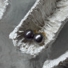 14K Yellow Gold Pearl Earrings