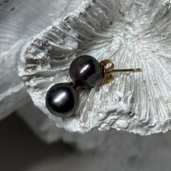 14K Yellow Gold Pearl Earrings