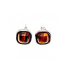 925 Sterling Silver Tiger's Eye Stud Earrings