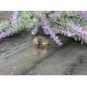 925 Sterling Silver Gold Plated Tanzanite Ring Size 5.5