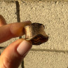 925 Sterling Silver Gold Plated Ring Size 6