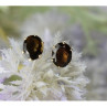 925 Sterling Silver Hessonite Stud Earrings