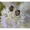 925 Sterling Silver Hessonite Stud Earrings
