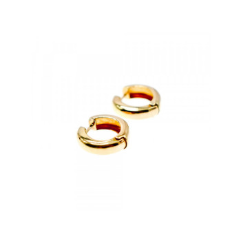925 Sterling Silver Gold Plated Earrings