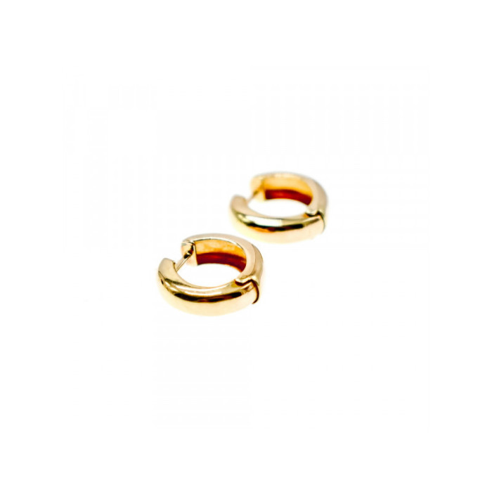925 Sterling Silver Gold Plated Earrings