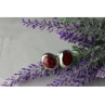 925 Sterling Silver Red Jasper Stud Earrings