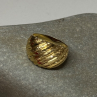 14K Yellow Gold Dream Ring Size 8