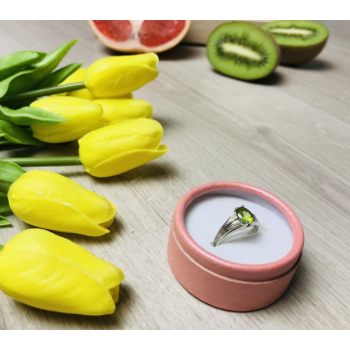 925 Sterling Silver Tsavorite Ring Size 9