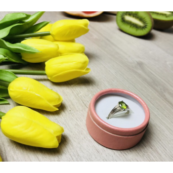 925 Sterling Silver Tsavorite Ring Size 9