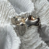 925 Sterling Silver Kamasutra Ring Size 6.5